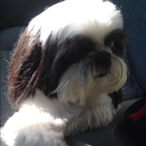 Meet your Posher, Heather